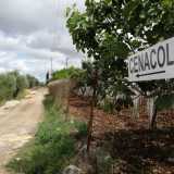 Il �Cenacolo�: si chiama cos� la chiesetta domestica di Lodovico. A indicarcela un grande cartello bianco posto all�inizio di una stradina sterrata di via Santa Croce, al confine sud di Valenzano sulla strada per Adelfia